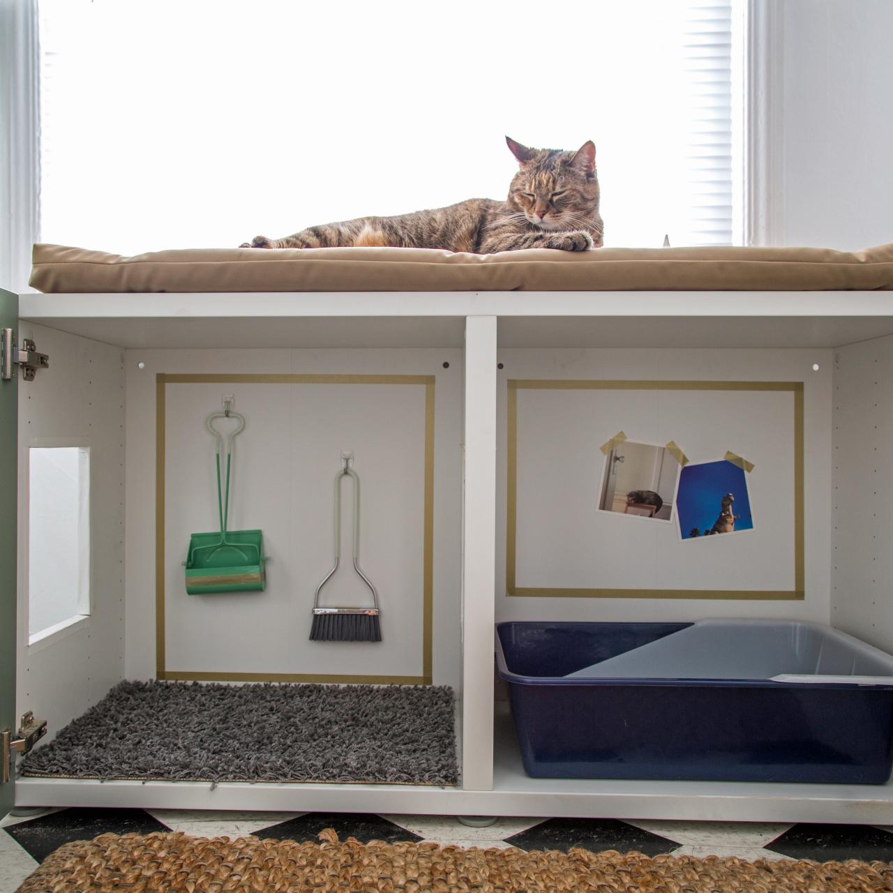 How to Conceal a Kitty Litter Box Inside a Cabinet HGTV